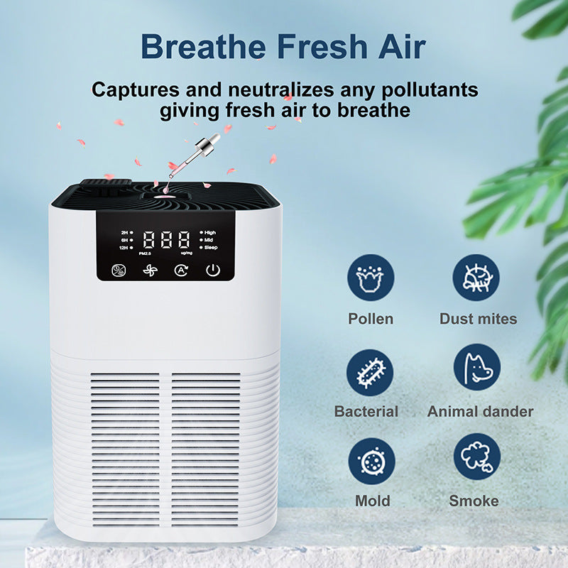 Hully Air Max Purifier & Aromatherapy