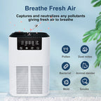 Hully Air Max Purifier & Aromatherapy